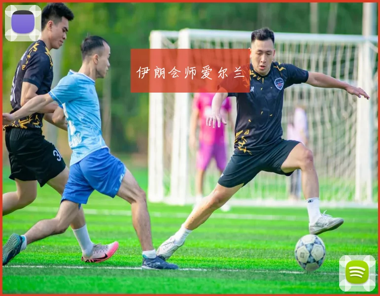 伊朗会师爱尔兰