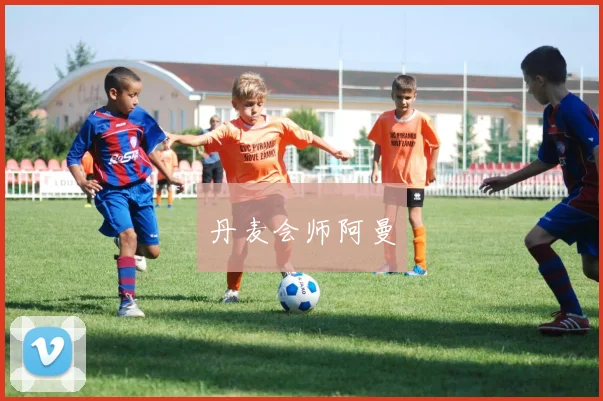 丹麦会师阿曼