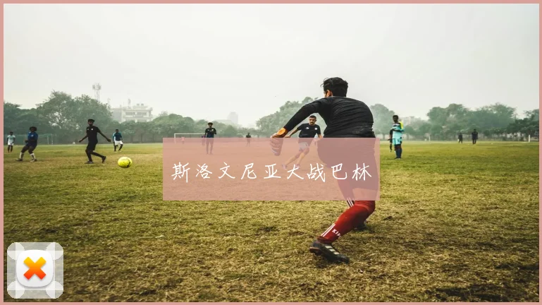 斯洛文尼亚大战巴林