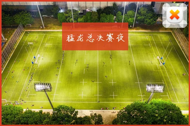 猛龙总决赛夜