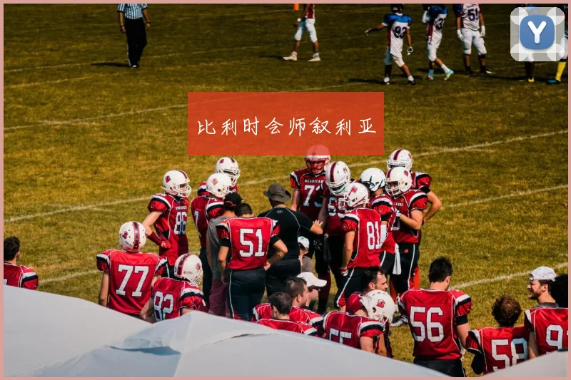 比利时会师叙利亚