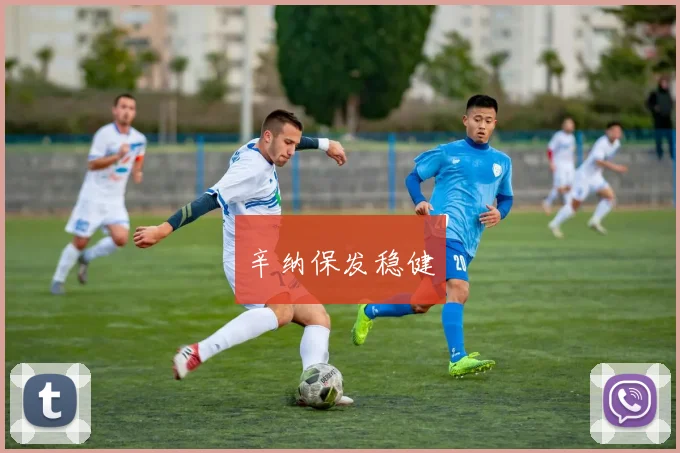 辛纳保发稳健