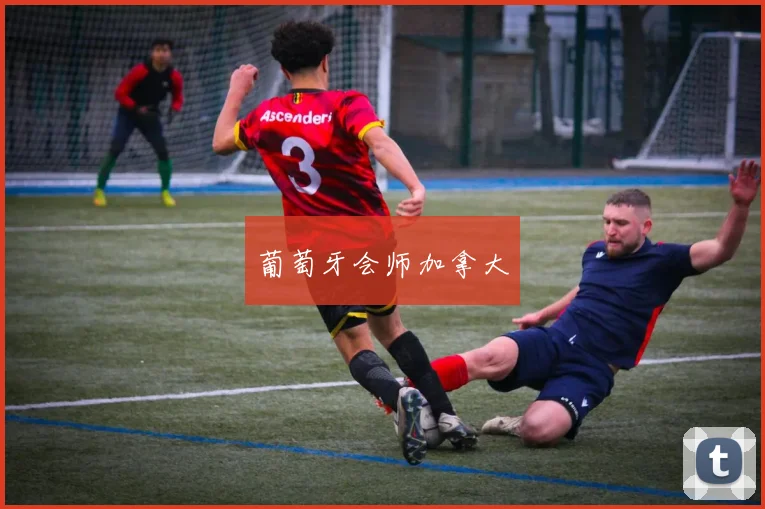 葡萄牙会师加拿大