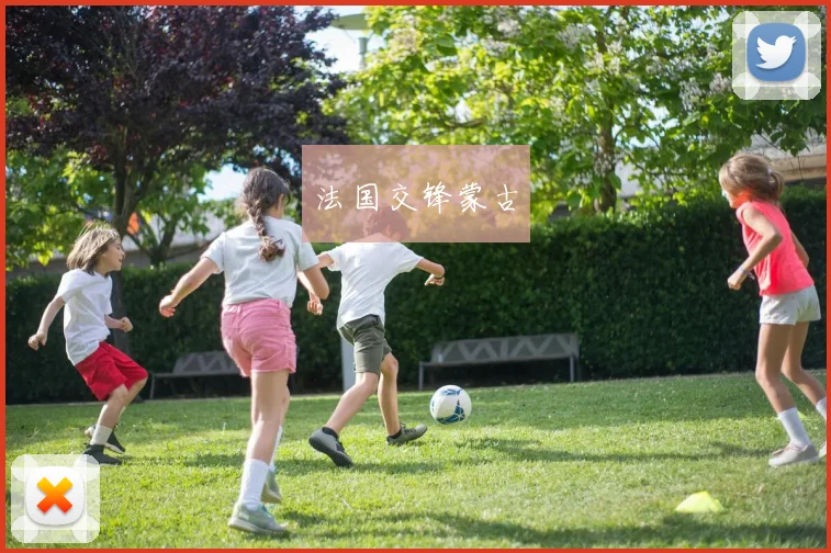 法国交锋蒙古