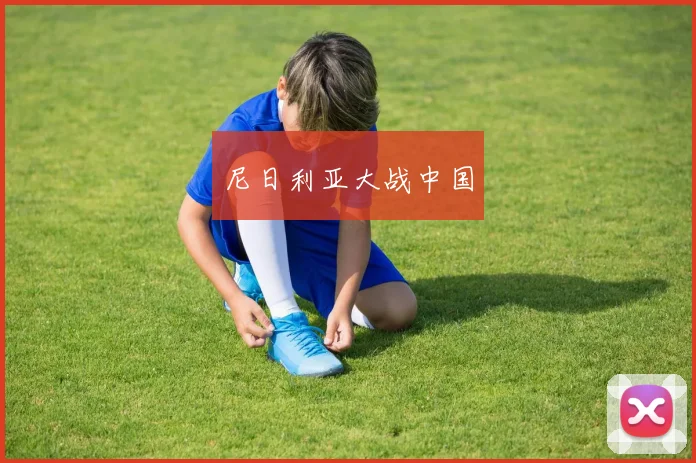 尼日利亚大战中国