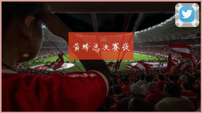 黄蜂总决赛夜