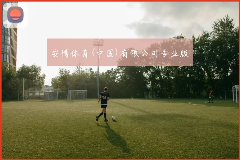 安博体育(中国)有限公司专业版