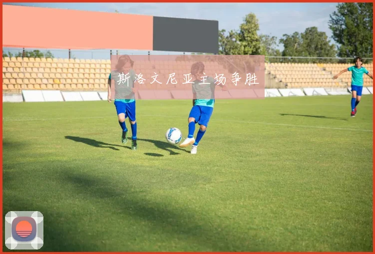 斯洛文尼亚主场争胜