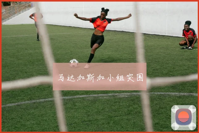 马达加斯加小组突围