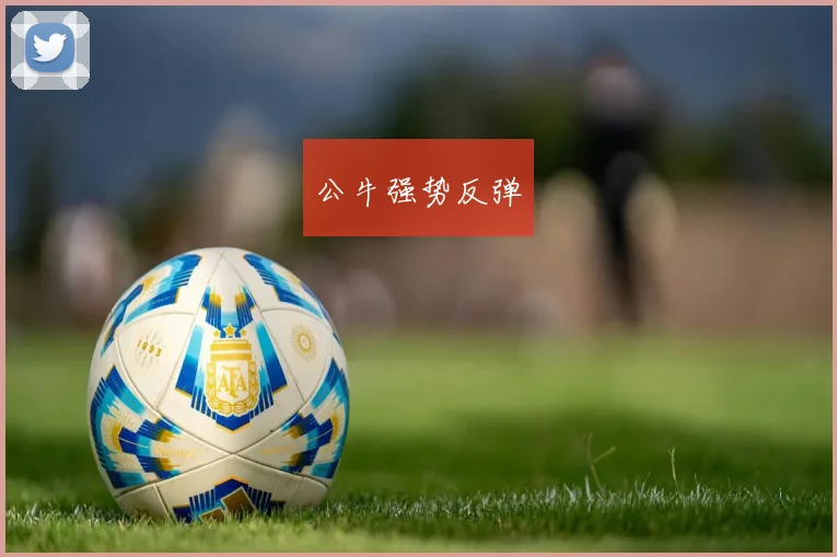 公牛强势反弹