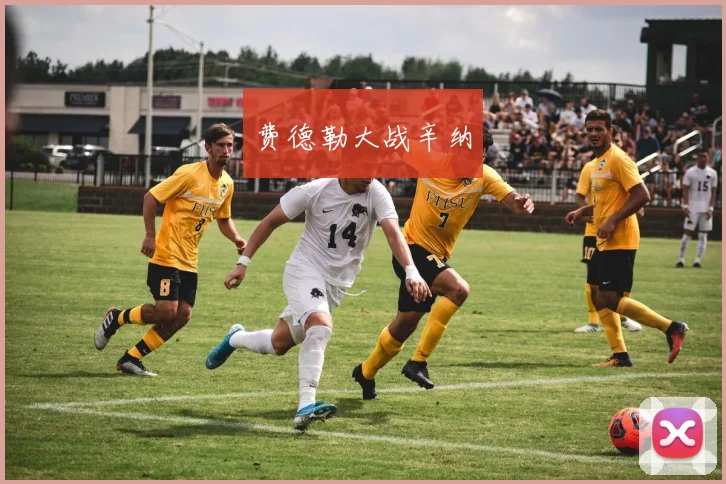 费德勒大战辛纳