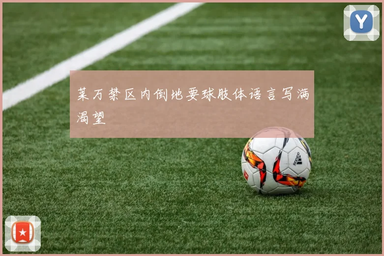 莱万禁区内倒地要球肢体语言写满渴望