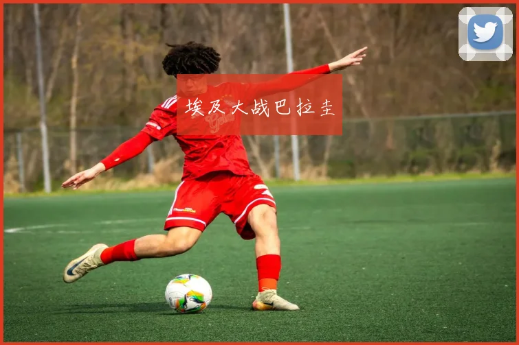 埃及大战巴拉圭