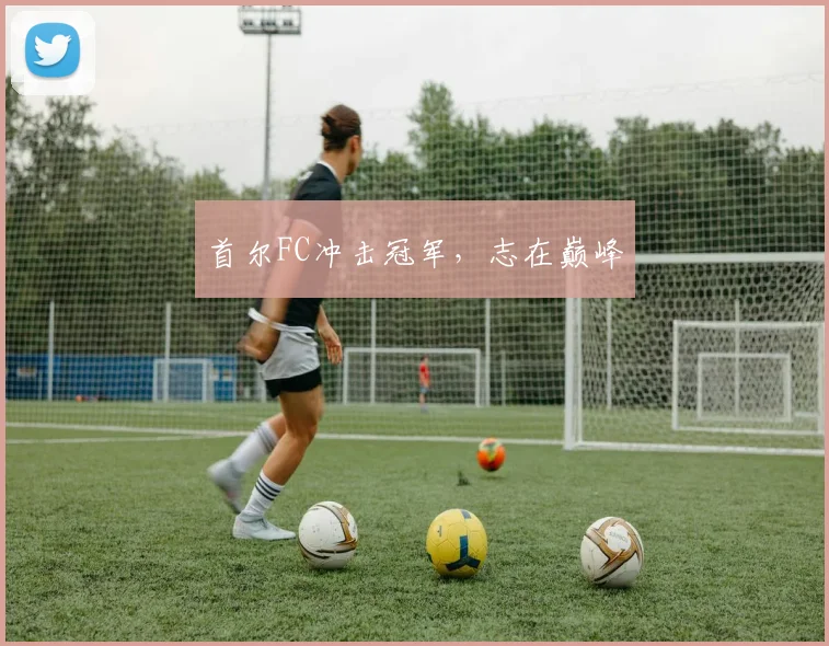 首尔FC冲击冠军，志在巅峰