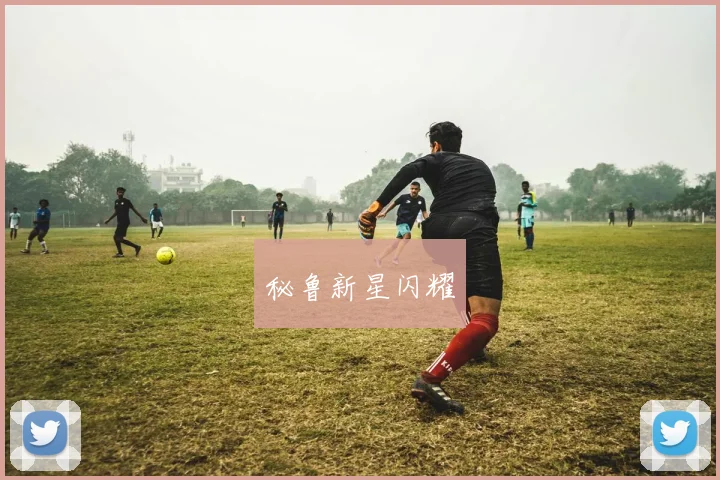 秘鲁新星闪耀