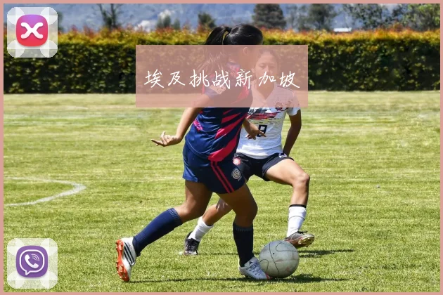 埃及挑战新加坡