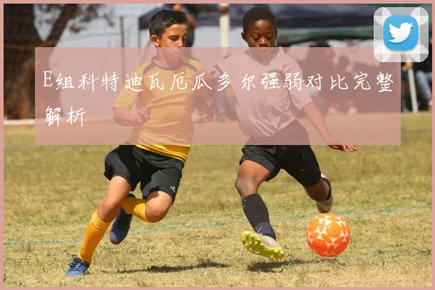 E组科特迪瓦厄瓜多尔强弱对比完整解析