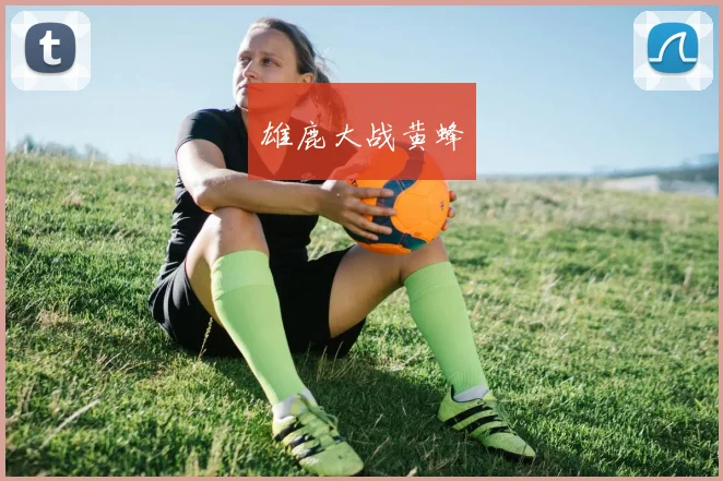 雄鹿大战黄蜂