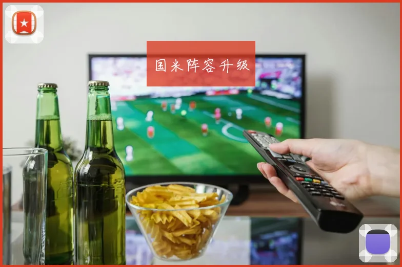 国米阵容升级