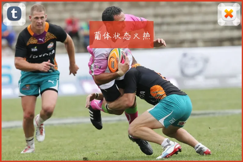 葡体状态火热