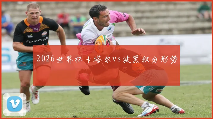 2026世界杯卡塔尔vs波黑积分形势