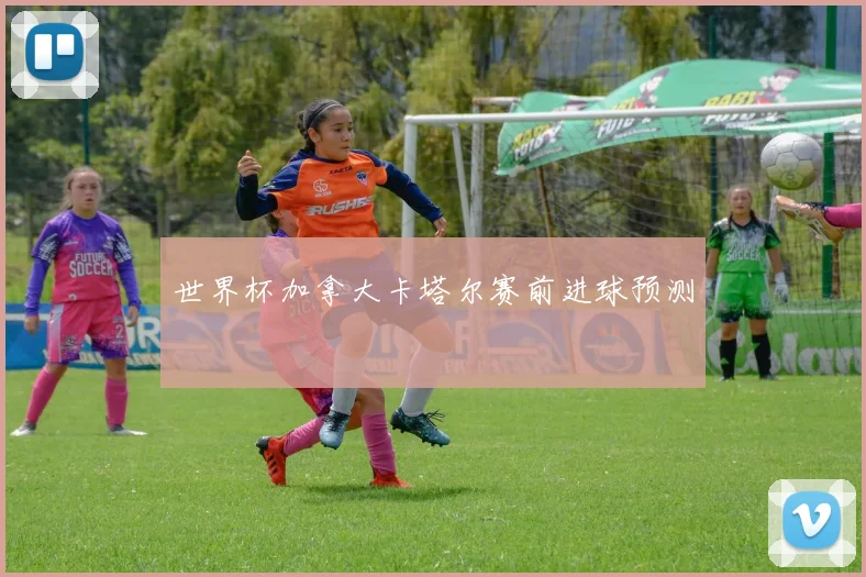世界杯加拿大卡塔尔赛前进球预测