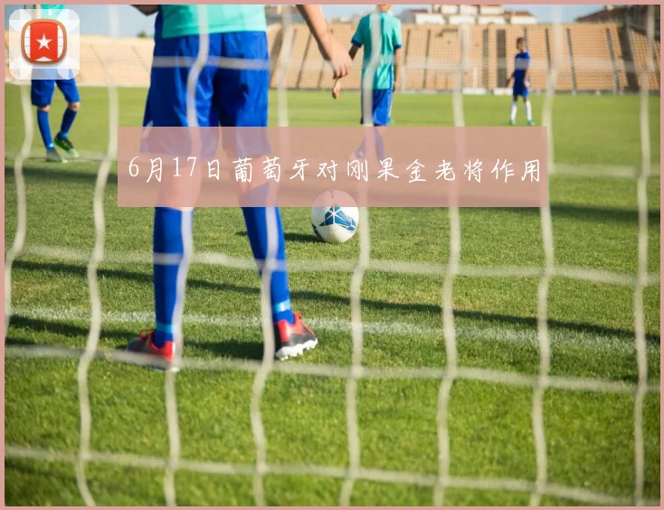 6月17日葡萄牙对刚果金老将作用