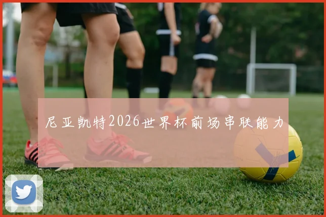 尼亚凯特2026世界杯前场串联能力