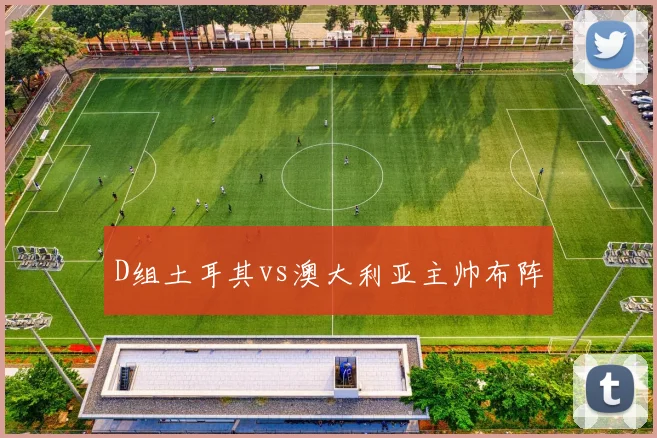 D组土耳其vs澳大利亚主帅布阵