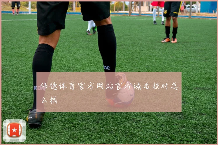 伟德体育官方网站官方域名核对怎么找