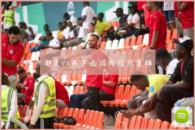 都灵vs弗罗西诺内精彩集锦