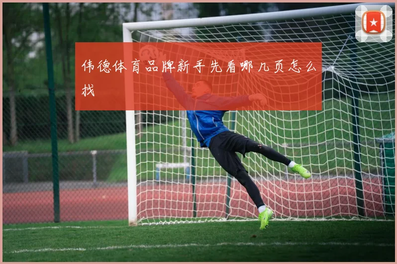 伟德体育品牌新手先看哪几页怎么找
